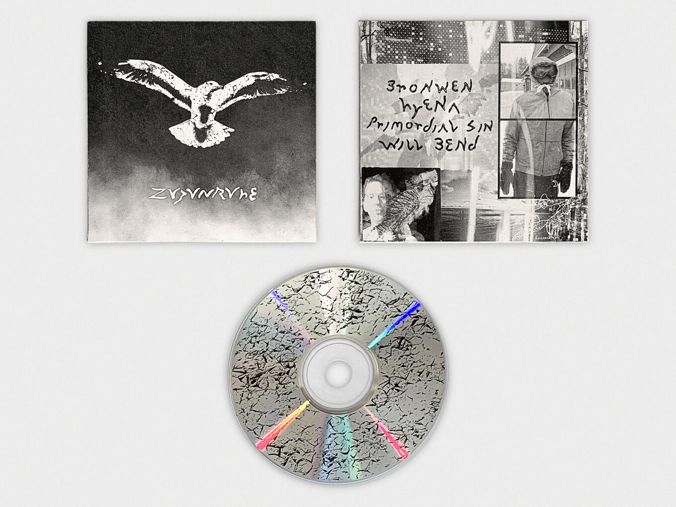 GULL - Zugunruhe