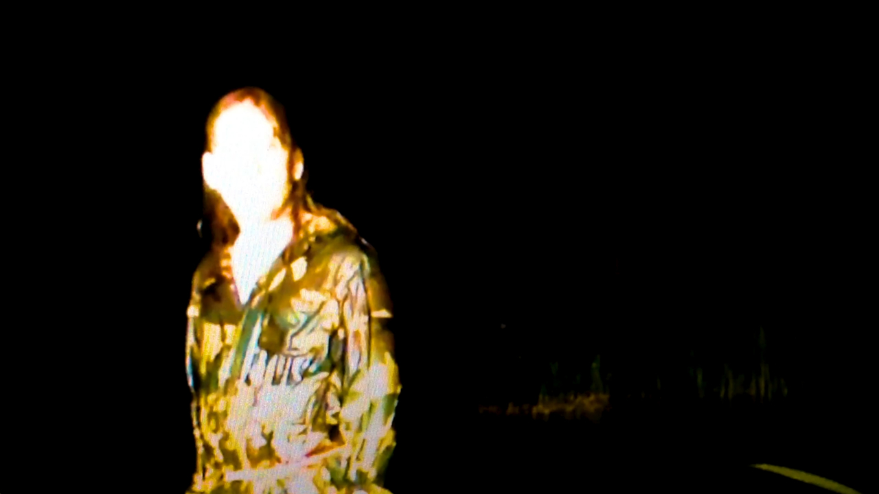 GULL - Lifted by Dance