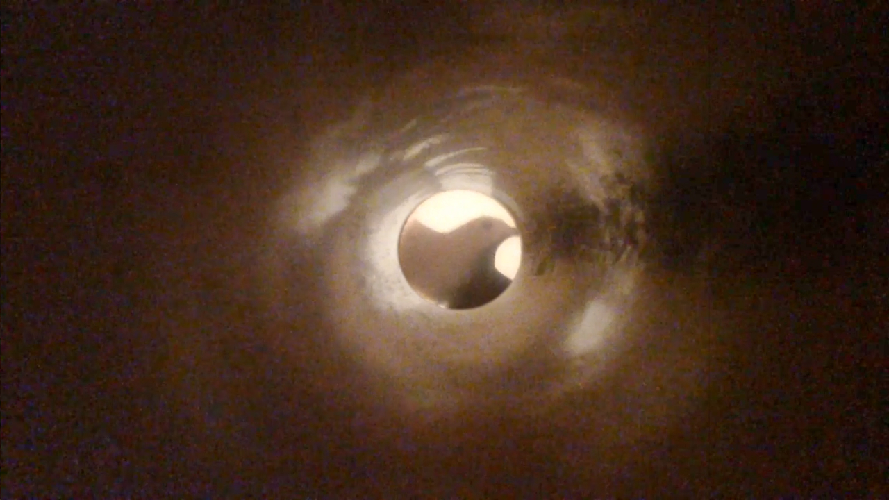 GULL - Mouth to Match