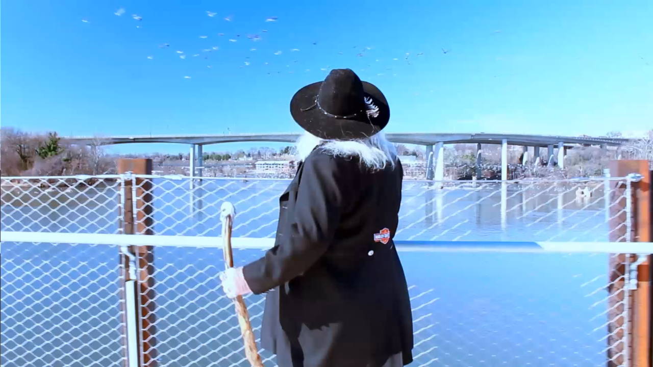 GULL - Walk of the Carpenter